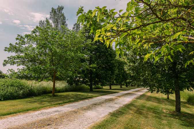 Property For Sale: Beaumont de Lomagne, Tarn-et-Garonne, France 