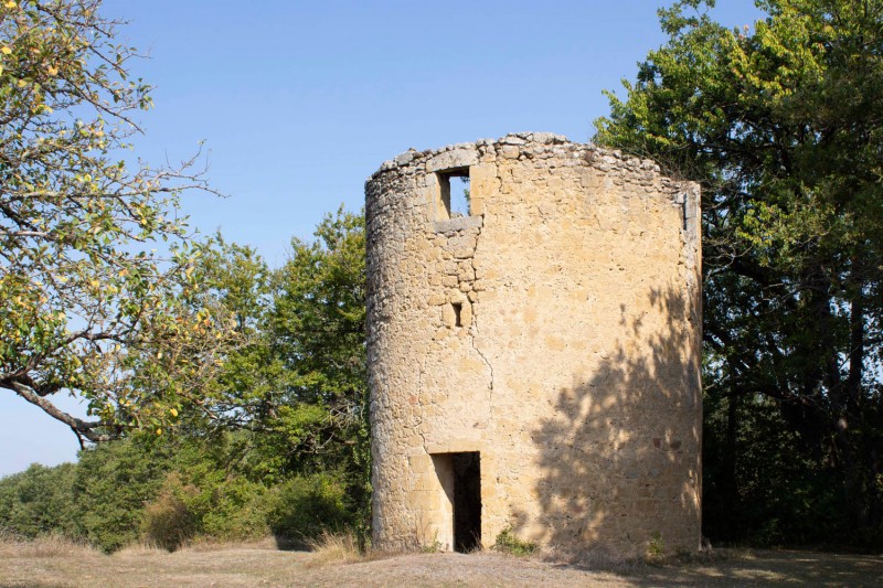 Property For Sale: Mirande, Gers, France 