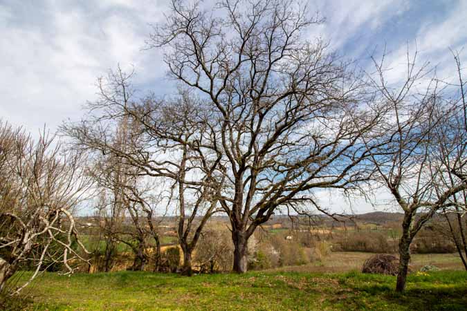 Property For Sale: Marciac , Gers, France 