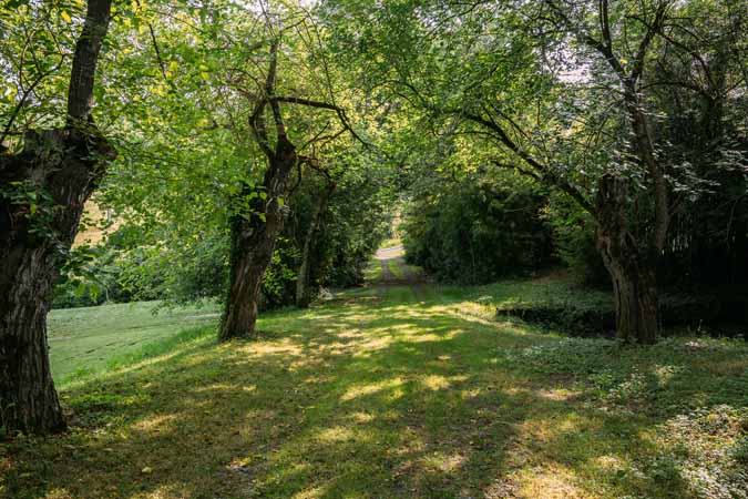 Property For Sale: MIRANDE, Gers, France 