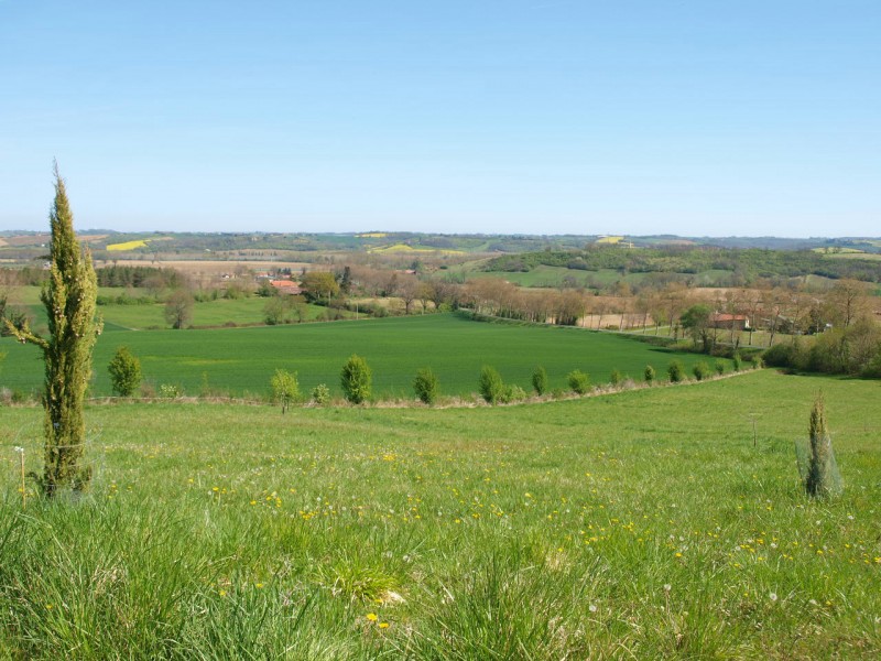 Property For Sale: Marciac , Gers, France 